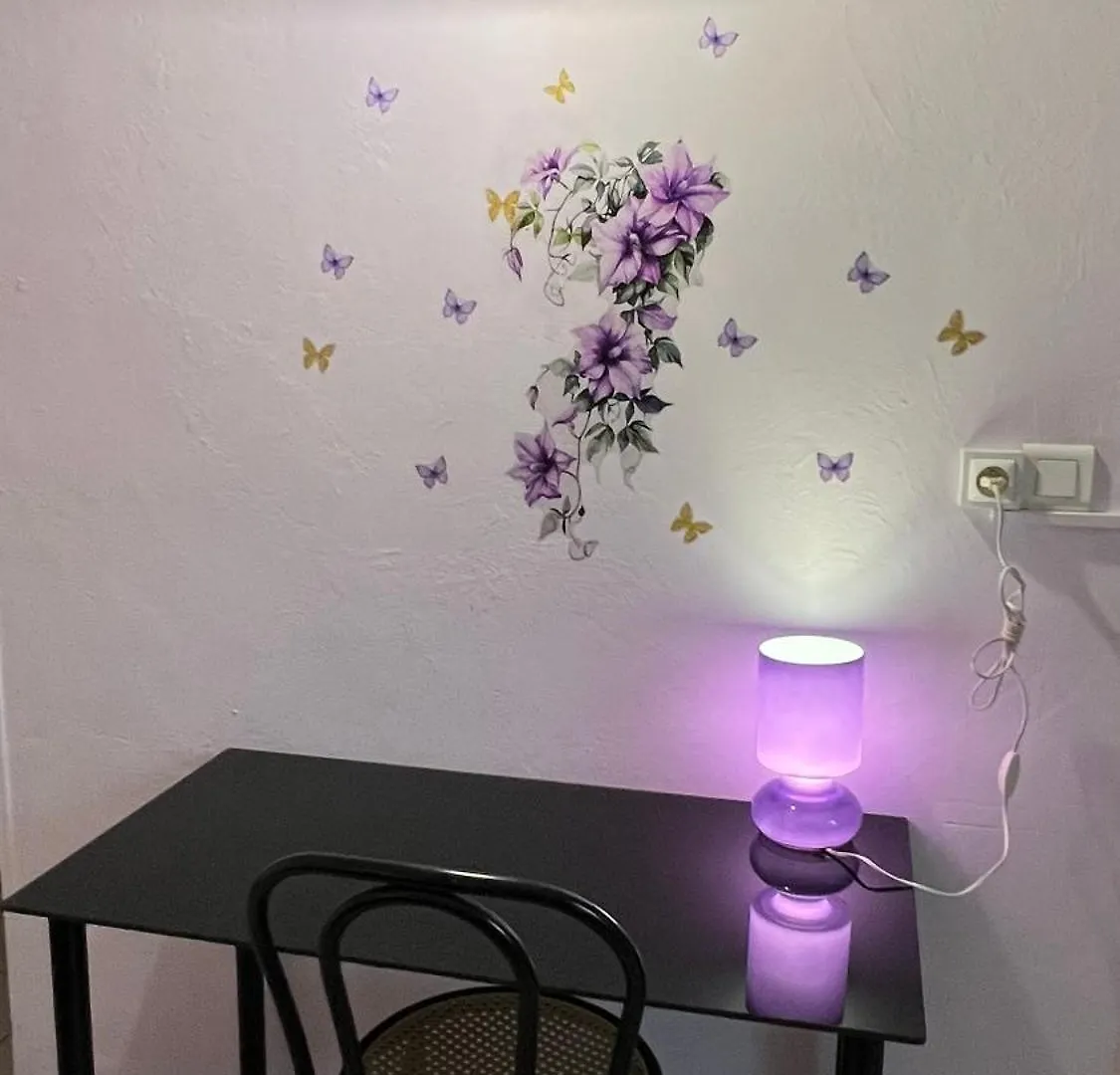 酒店 西尼奥雷酒店 萨路特德沃克吕兹